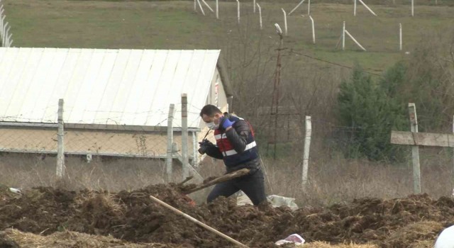 Arnavutköyde yem makinesine düşen çoban yaralanarak hastaneye kaldırıldı