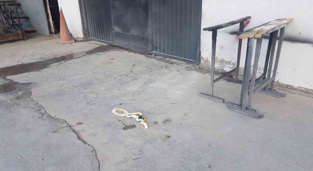 Ayakkabısını alıp kaçan köpeğin peşinden gitmişti, feci olayda hayatını kaybetti