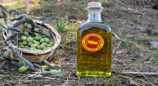 Aydın Ticaret Borsası, Coğrafi İşaret Tescilli Aydın Memecik Zeytinyağını Gaziantepte tanıtacak