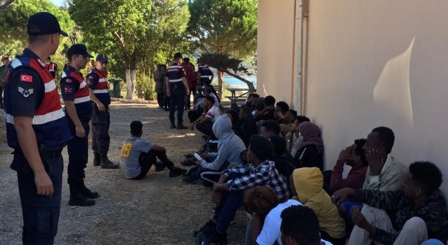 Aydında 2022 yılında göçmen kaçakçılığı ve insan ticaretinden 19 şüpheli tutuklandı