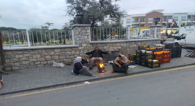 Aydında pazarcılar sabah soğuk havadan ateş yakarak korunuyor