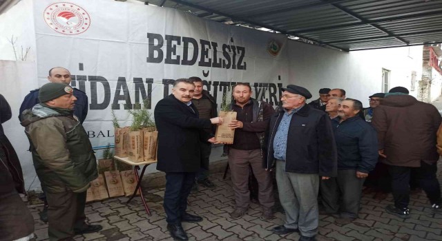 Bal ormanı projesine destek