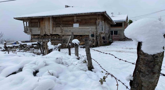 Bartının yüksek kesimlerinde kar etkili oldu