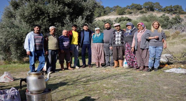 Başkan Özcan zeytin hasadına katıldı, üreticilerle bir araya geldi