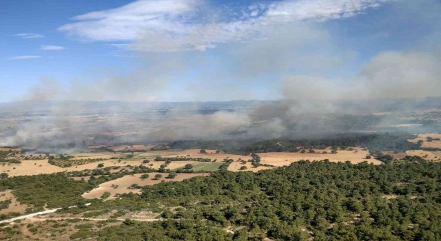 Bayramiç Orman İşletme Müdürlüğünden orman yangını uyarısı
