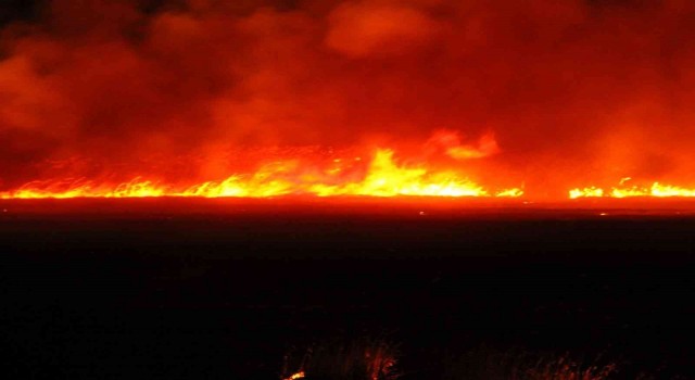 Beyşehir Gölü kıyısında 12 farklı noktada çıkan sazlık yangını söndürüldü