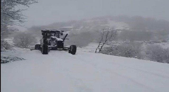 Bingölde kar nedeniyle 245 köy yolu ulaşıma kapandı