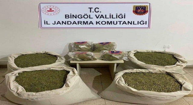 Bingölde Kökünü Kurutma Operasyonu: 145 kilo esrar ele geçirildi