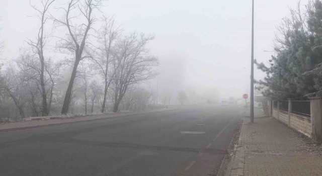 Bingölde yoğun sis etkili oldu
