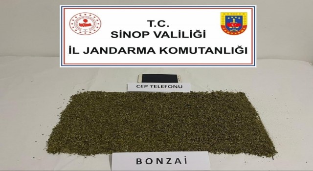 Boyabatta bonzai operasyonunda 1 kişi yakalandı