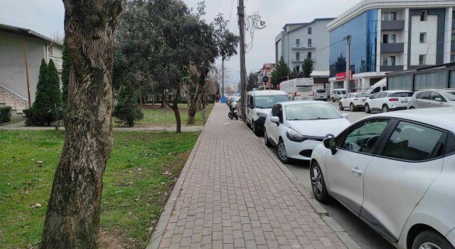 Bu kez saldıran köpek değil, vatandaş oldu