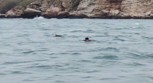 Bulgaristan açıklarında mayın paniği