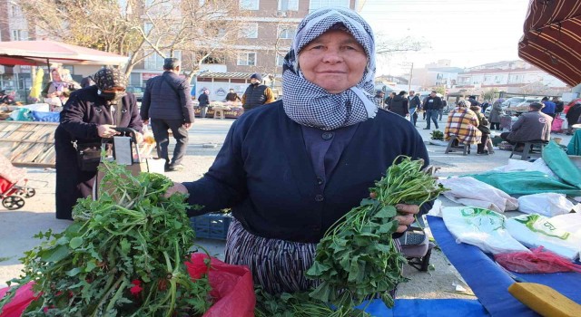 Burhaniyede araziden toplanan otlar geçim kaynağı oldu