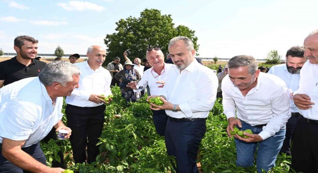 Bursa Büyükşehirin çiftçiye desteği sürüyor