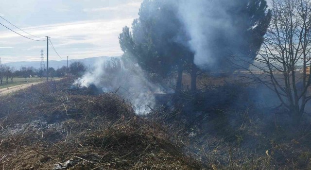Bursada daha önce kesilmiş ağaçlar tutuştu