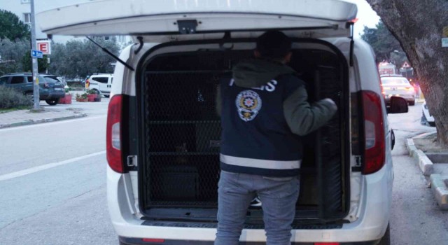 Bursada hırsızlıktan 9 kişi tutuklandı