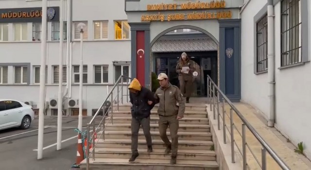 Bursada köpeğe eziyet eden o sürücü yakalandı