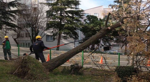 Bursada şiddetli lodosun etkisi sürüyor