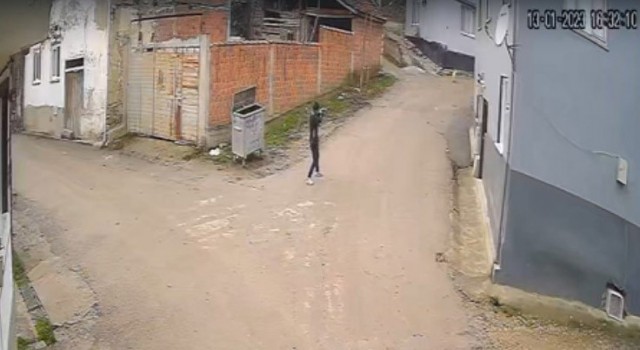 Bursada vahşet: Av tüfeği ile köpeği öldürdü