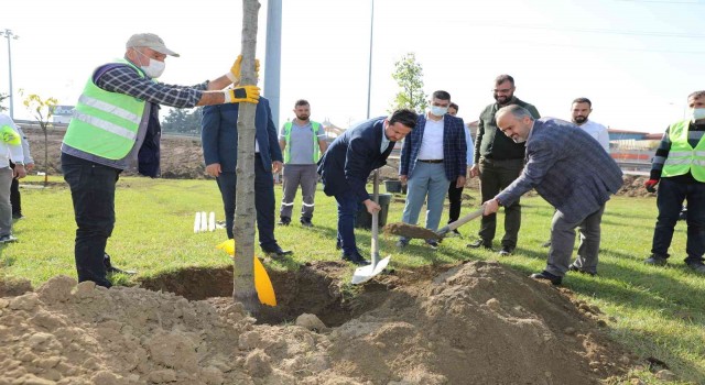 Büyükşehirle yeniden ‘Yeşil Bursa
