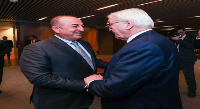 Çavuşoğlu, Almanya Cumhurbaşkanı Steinmeier ile bir araya geldi