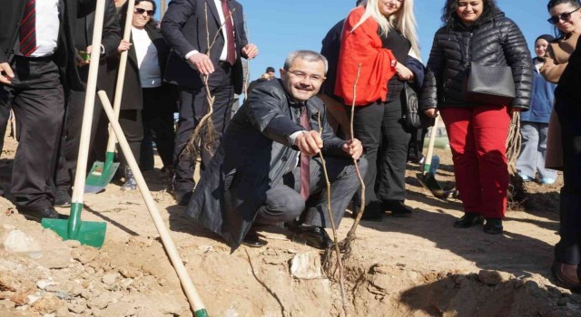 Çivrilde 15 Temmuz şehitleri anısına 300 ceviz fidanı toprakla buluşturuldu