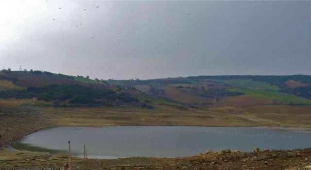 Çokal Barajı, Gökbüet Su Kooperatifine kiralandı