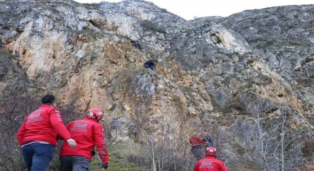 Dağlık alanda mahsur kalan köpek arama kurtarma ekiplerince kurtarıldı