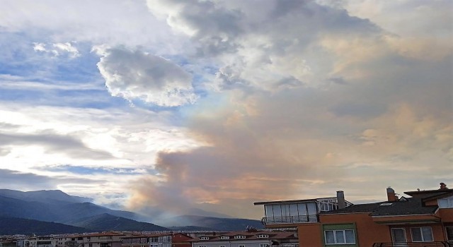 Denizlideki orman yangınına güçlükle müdahale ediliyor