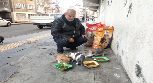 Diyarbakırda hayırseverler destek veriyor, sokak hayvanları mamasız kalmıyor