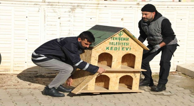 Diyarbakırda sokak hayvanları için 200 adet ev yerleştirildi