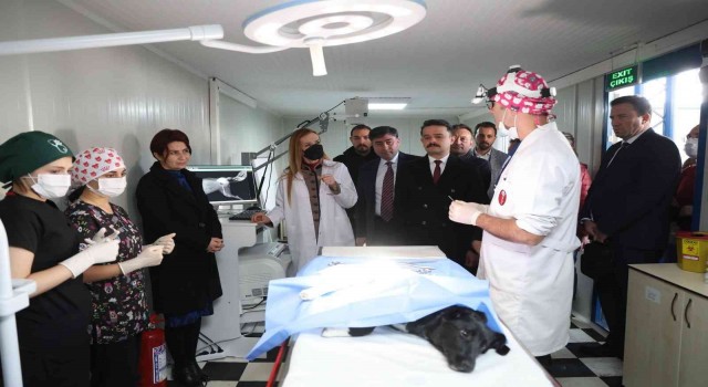Dokuz Eylülden sokak hayvanlarına şefkat eli
