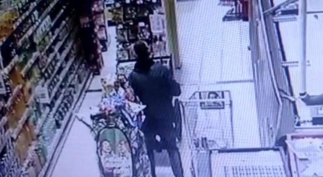 Domuz eti çalan Almanya vatandaşı sahte plakadan yakayı ele verdi