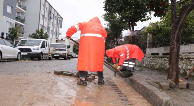 Efeler yoğun yağışta da çalışmalarını sürdürüyor