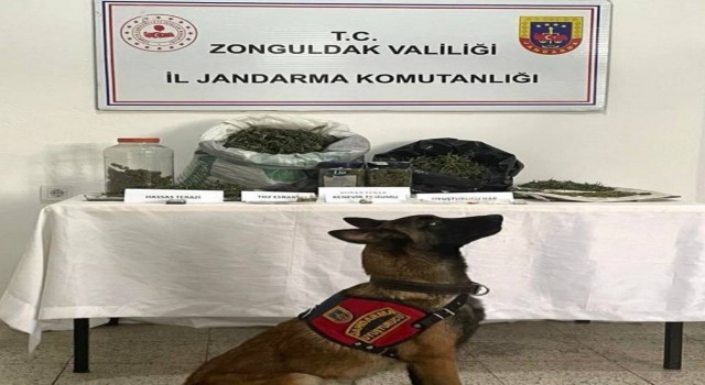 Ereğlide uyuşturucu operasyonu:1 gözaltı