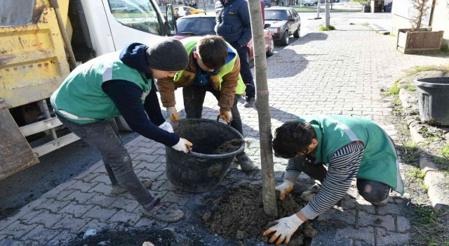 Esenyurtta sorunlar yeşillendirmeyle çözülüyor