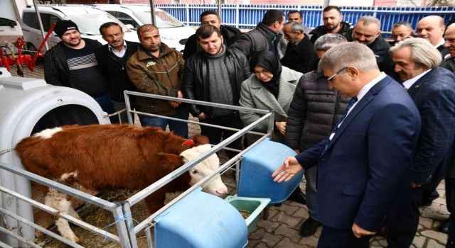 Etçi ve Kombine Irkların Yaygınlaştırılması Projesi genişliyor