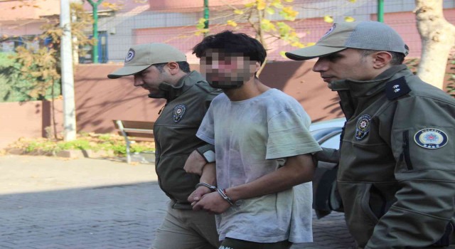 Evden kaçan kediyi acımasızca yumrukladı, o anlar kamerada