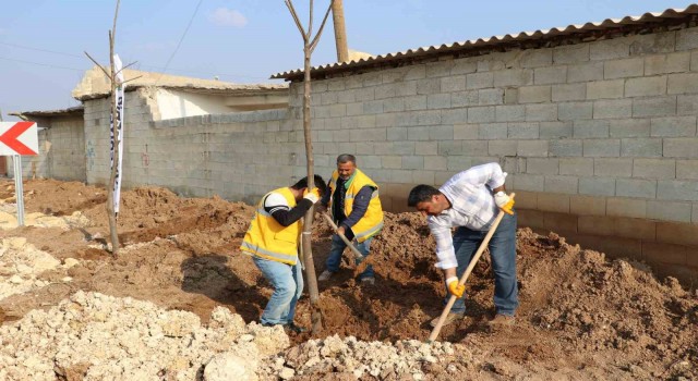 Farklı bölgelerde ağaçlandırma çalışması yapılıyor