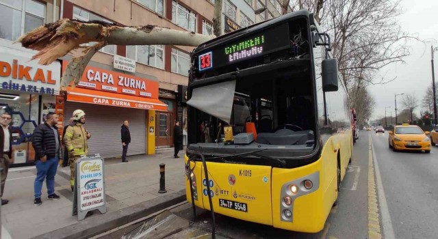 Fatihte facianın eşiğinden dönüldü: İçinde yolcuların bulunduğu İETT otobüsü ağaca çarptı