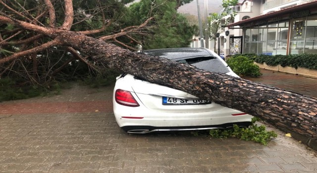 Fırtına ağaçları devirdi, lüks araç ve bir ev zarar gördü