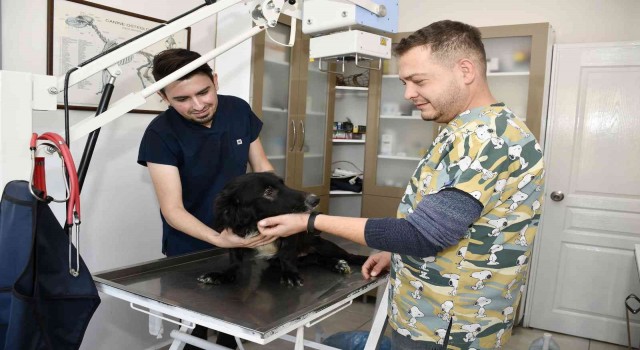 Fizik tedavi sonrası yürüteçle yürümeye başlayan Karam, sıcak yuvasına kavuştu