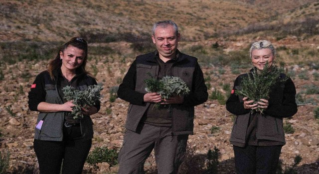 Gerenceden yanık kokusu yerine adaçayı ve kekik kokuları geliyor