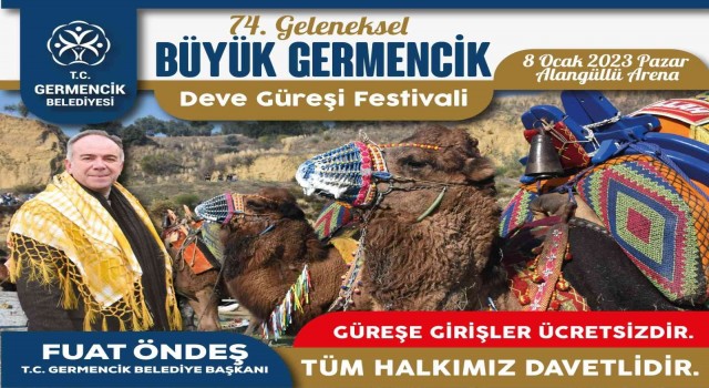 Germencikte deve güreşi hazırlıkları sürüyor