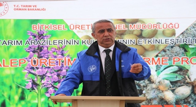 Gıda denetimi sonrası 2,5 milyon TLye yakın ceza kesildi