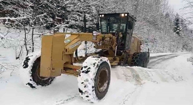 Giresunun yüksek kesimlerinde karla mücadele başladı