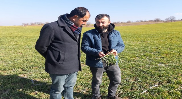 Gölbaşında çiftçilerin kuraklık endişesi