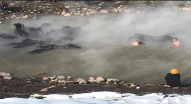 Güroymakta çekilen “Madak” belgeseline büyük ilgi