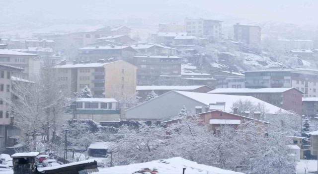 Hakkaride 176 yerleşim yeri ulaşıma kapandı