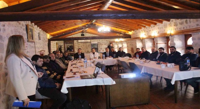 Hatayda çevresel gürültü için iş birliği